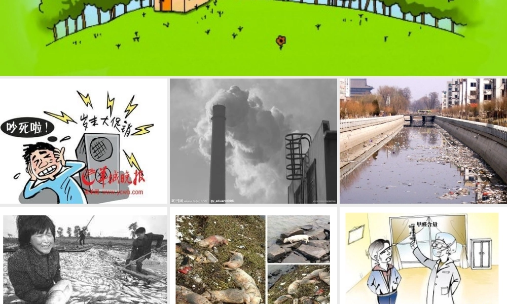 三年级下册第二单元 环境保护 1（猪猪喜羊羊）.ppt