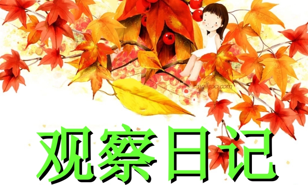 三年级上册第四单元 观察日记 2（猪猪喜羊羊）.ppt