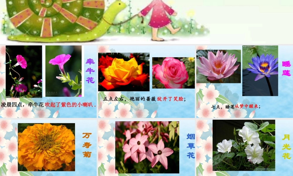 三年级上册第四单元 观察日记 3（猪猪喜羊羊）.ppt