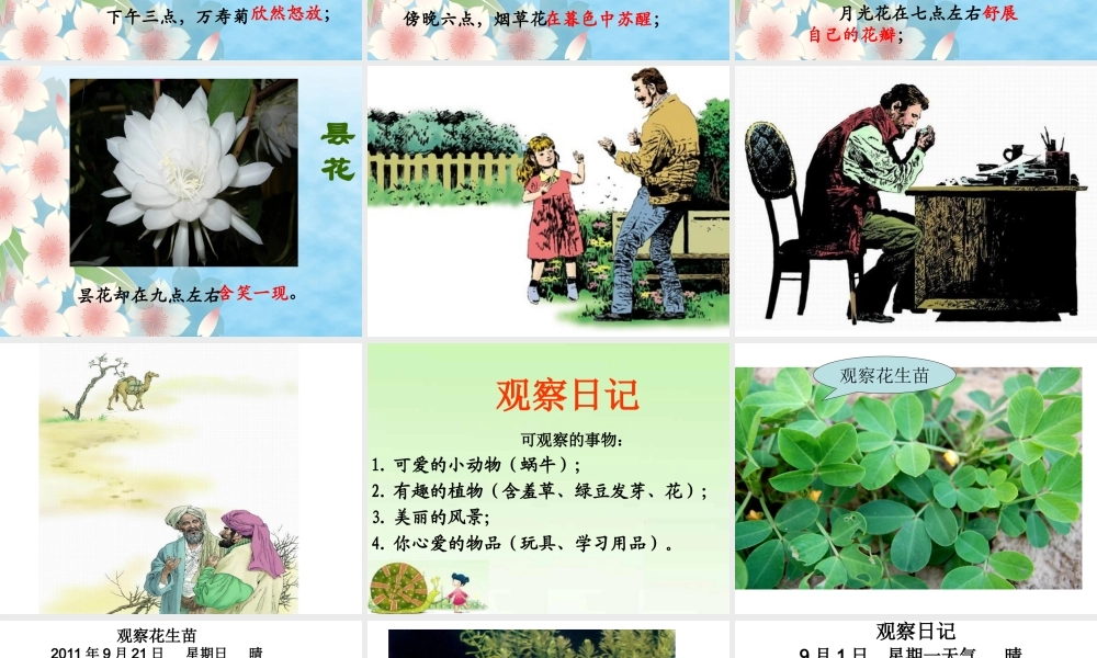 三年级上册第四单元 观察日记 3（猪猪喜羊羊）.ppt