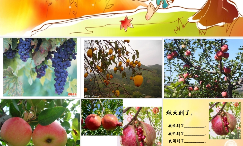 三年级上册第三单元 秋天的图画 4（猪猪喜羊羊）.ppt