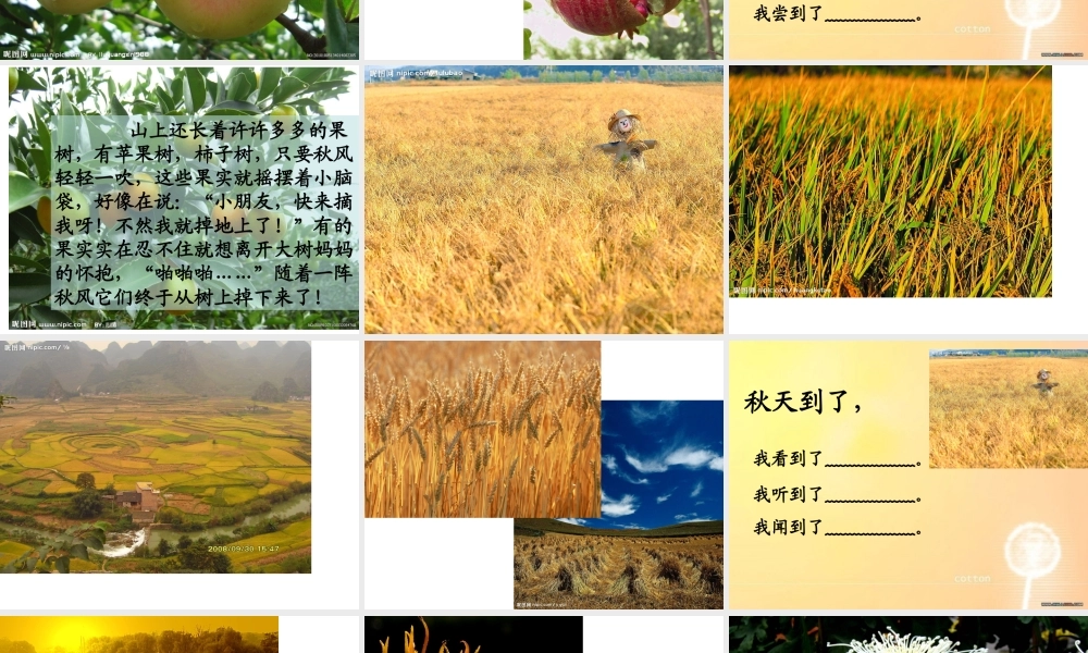 三年级上册第三单元 秋天的图画 4（猪猪喜羊羊）.ppt