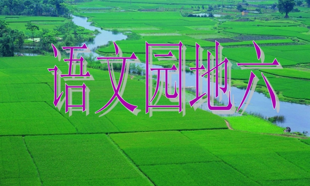 三年级下册第六单元 未来的.... 2（猪猪喜羊羊）.ppt