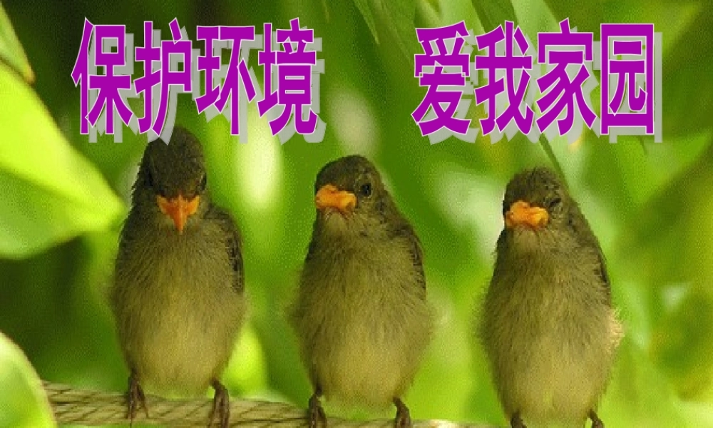 三年级下册第二单元 环境保护 3（猪猪喜羊羊）.ppt