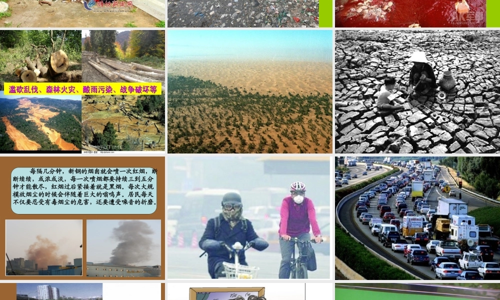 三年级下册第二单元 环境保护 3（猪猪喜羊羊）.ppt