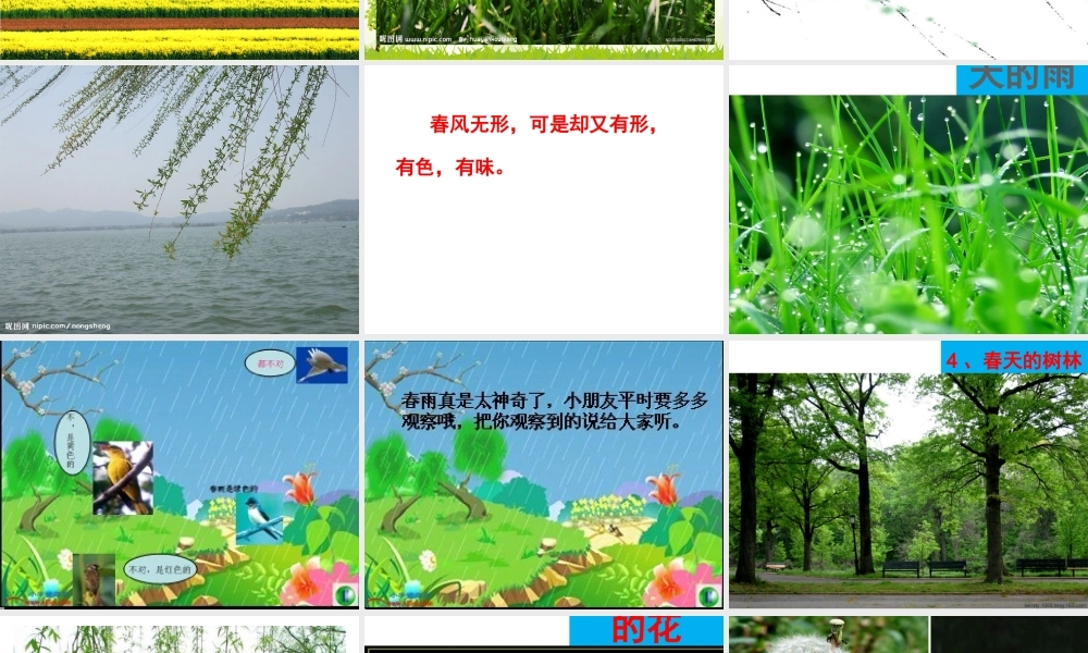 三年级作文--春天（猪猪喜羊羊）.ppt