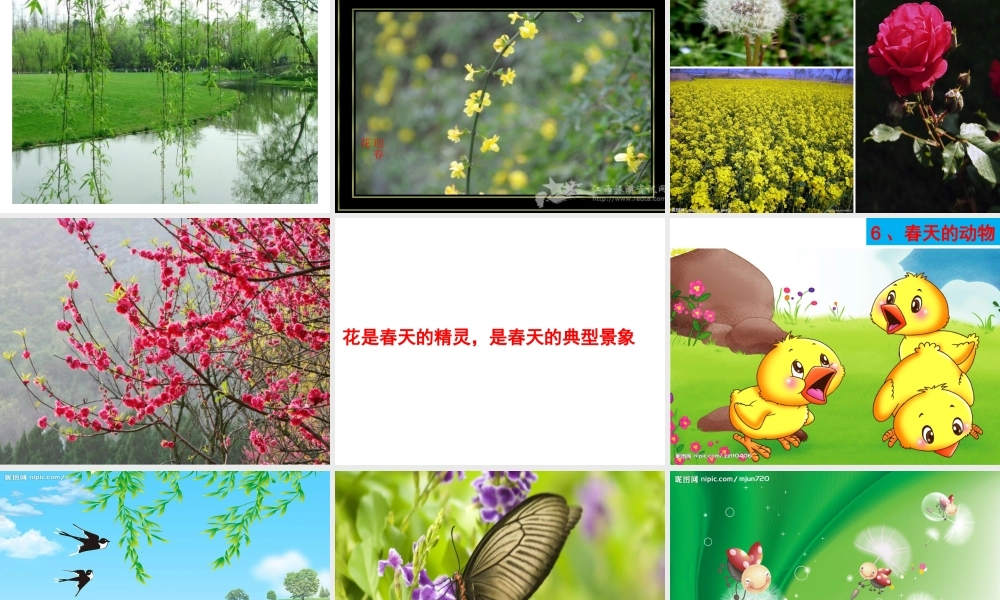 三年级作文--春天（猪猪喜羊羊）.ppt