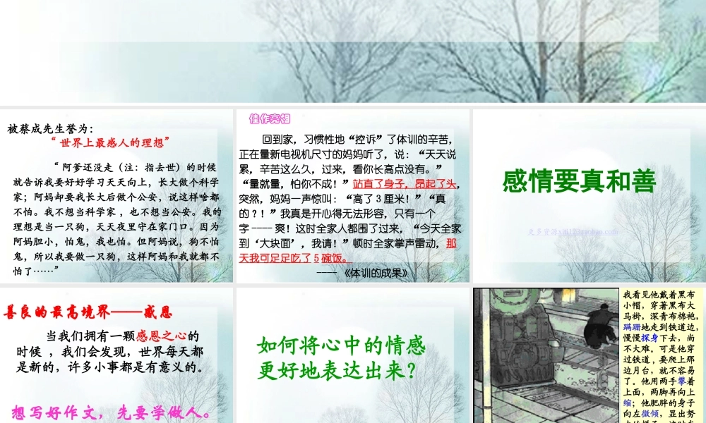 四年级第六单元作文（猪猪喜羊羊）.ppt