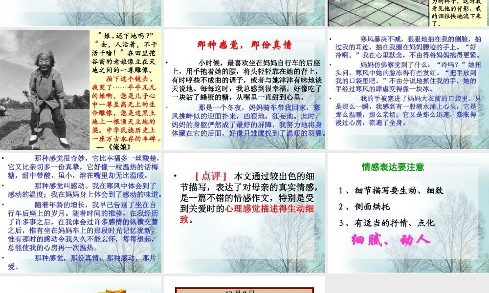 四年级第六单元作文（猪猪喜羊羊）.ppt