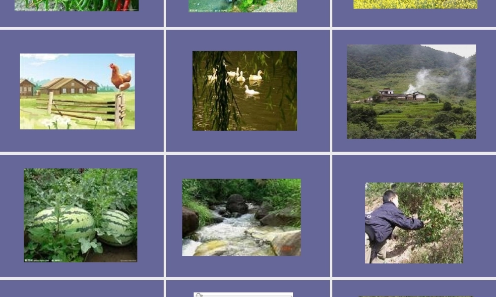 四年级六单元作文__走进田园___热爱乡村___第一课时（猪猪喜羊羊）.ppt
