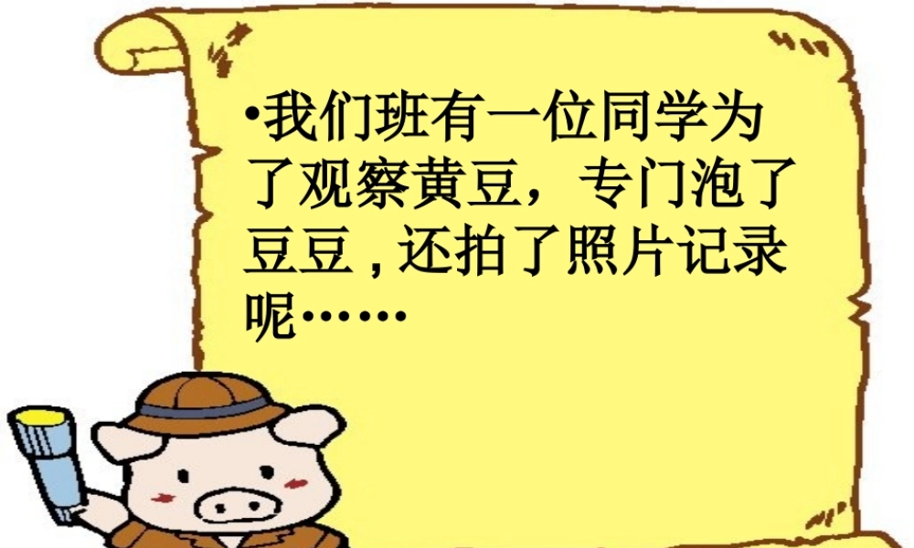 四年级上册语文园地二作文(完美版)（猪猪喜羊羊）.ppt