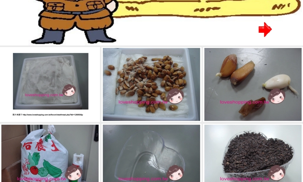 四年级上册语文园地二作文(完美版)（猪猪喜羊羊）.ppt