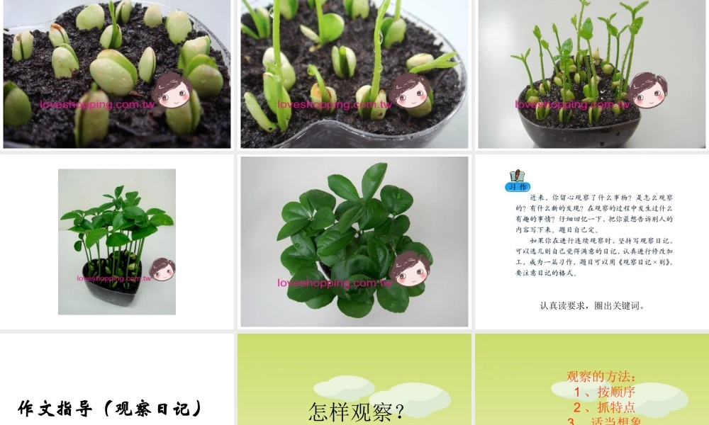 四年级上册语文园地二作文(完美版)（猪猪喜羊羊）.ppt