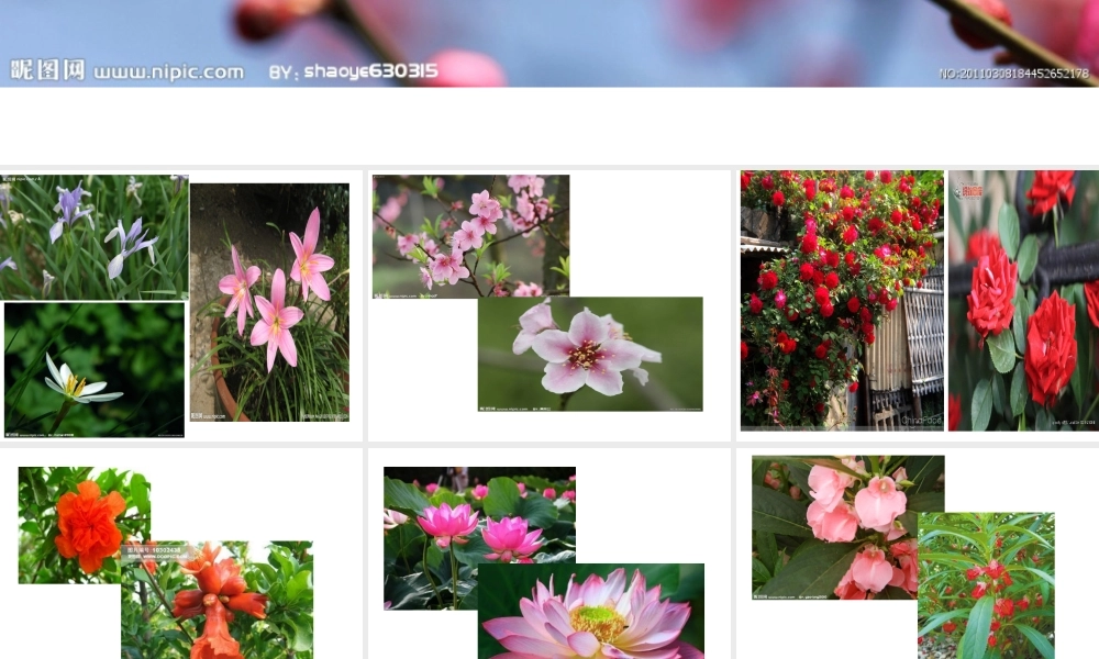 四年级上册作文语文园地二 (1)（猪猪喜羊羊）.ppt