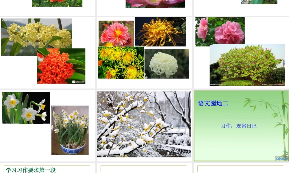 四年级上册作文语文园地二 (1)（猪猪喜羊羊）.ppt