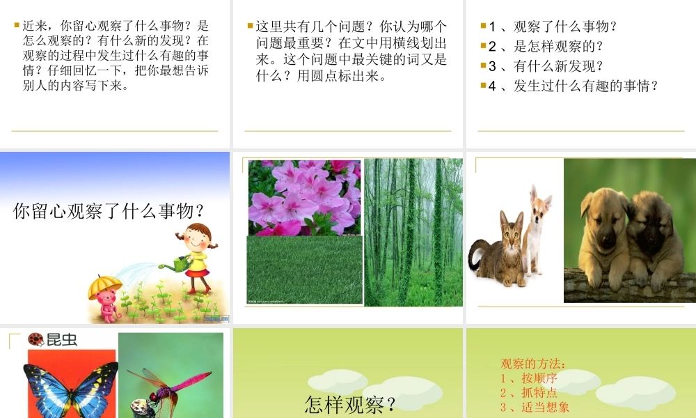 四年级上册作文语文园地二 (1)（猪猪喜羊羊）.ppt