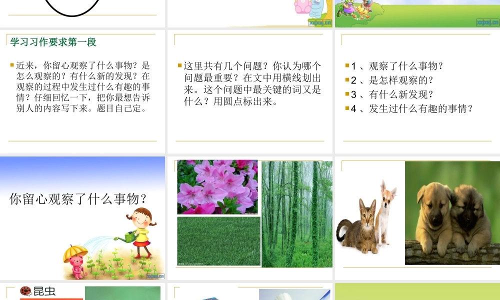 四年级上册作文语文园地二（猪猪喜羊羊）.ppt