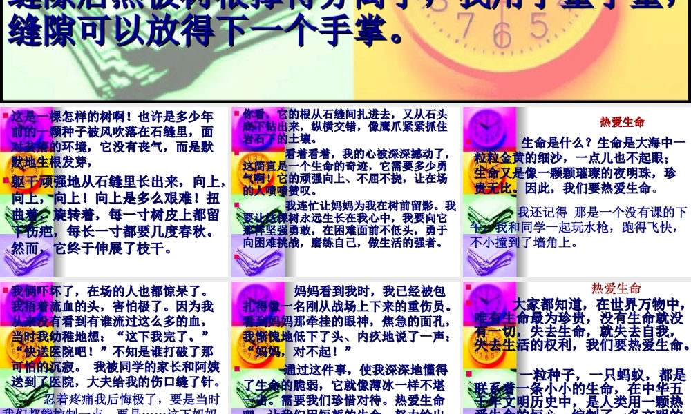四年级五单元作文（猪猪喜羊羊）.ppt