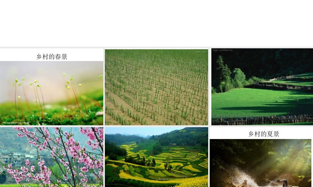 四年级下册第六单元作文（猪猪喜羊羊）.ppt