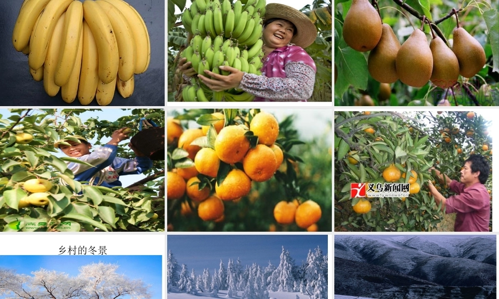 四年级下册第六单元作文（猪猪喜羊羊）.ppt