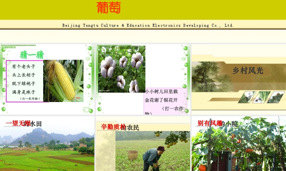 四年级下第六单元作文：乡村风光（猪猪喜羊羊）.ppt