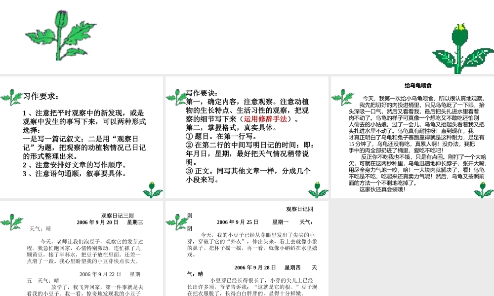 四年级下册四年级上册第二单元作文指导(观察日记)（猪猪喜羊羊）.ppt
