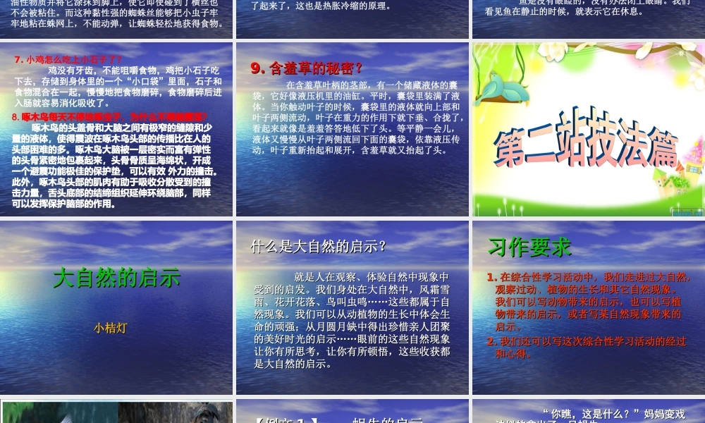 四年级下册第三单元作文魏（猪猪喜羊羊）.ppt