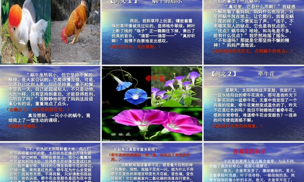 四年级下册第三单元作文魏（猪猪喜羊羊）.ppt