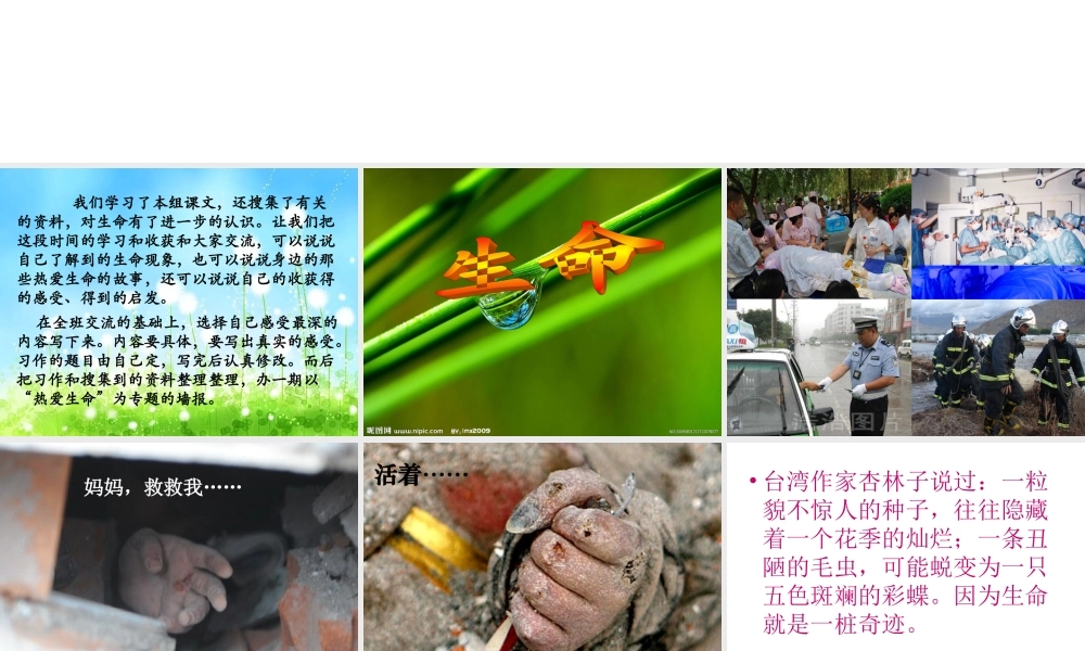 四年级下册五单元作文(完美版)（猪猪喜羊羊）.ppt