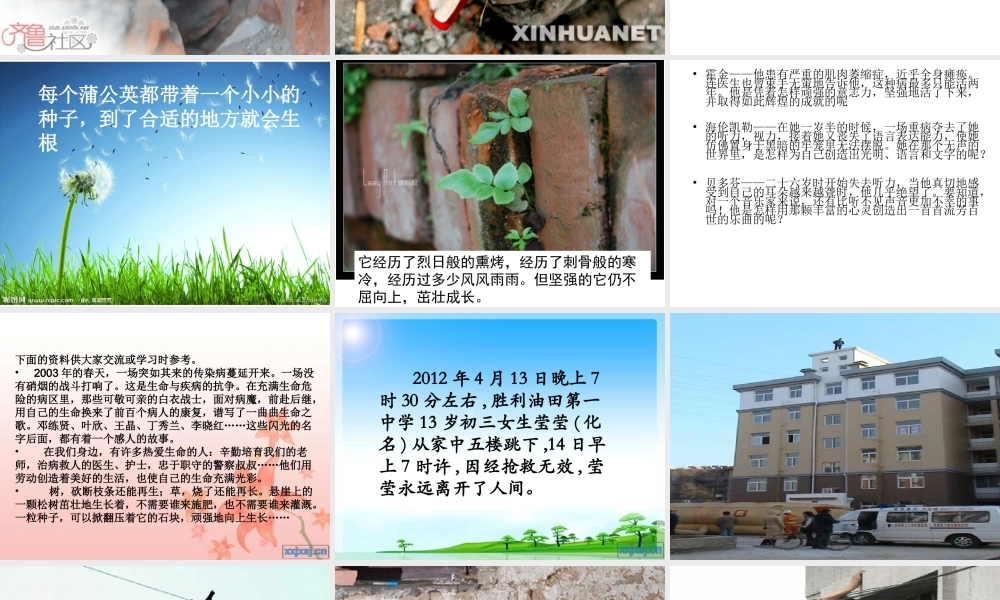 四年级下册五单元作文(完美版)（猪猪喜羊羊）.ppt