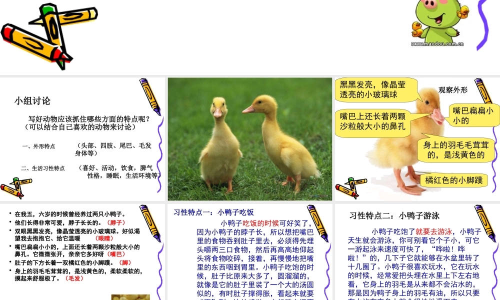四年级语文上册第四单元作文（猪猪喜羊羊）.ppt