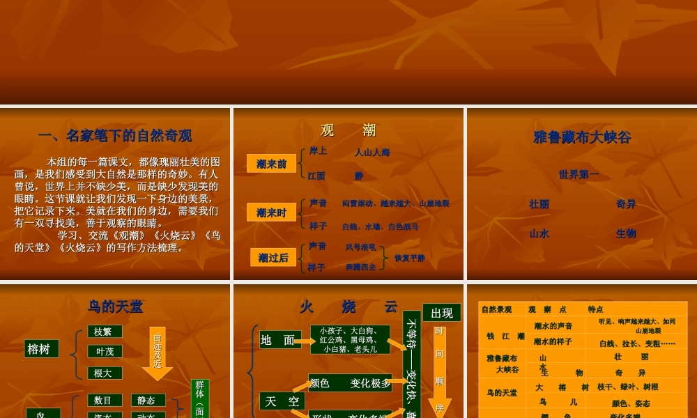 四年级语文上册写景作文教学课件（猪猪喜羊羊）.ppt