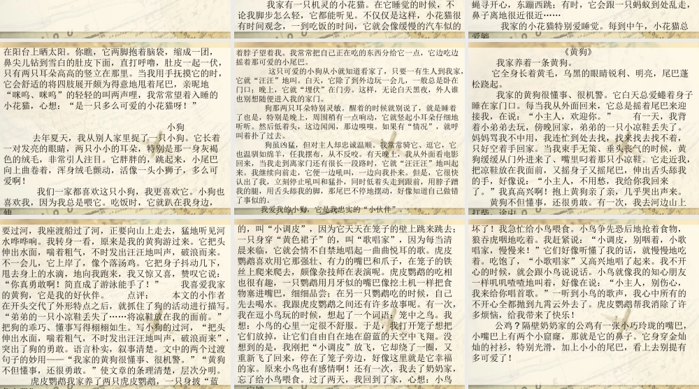 四年级语文作文训练与范文赏析4（猪猪喜羊羊）.ppt