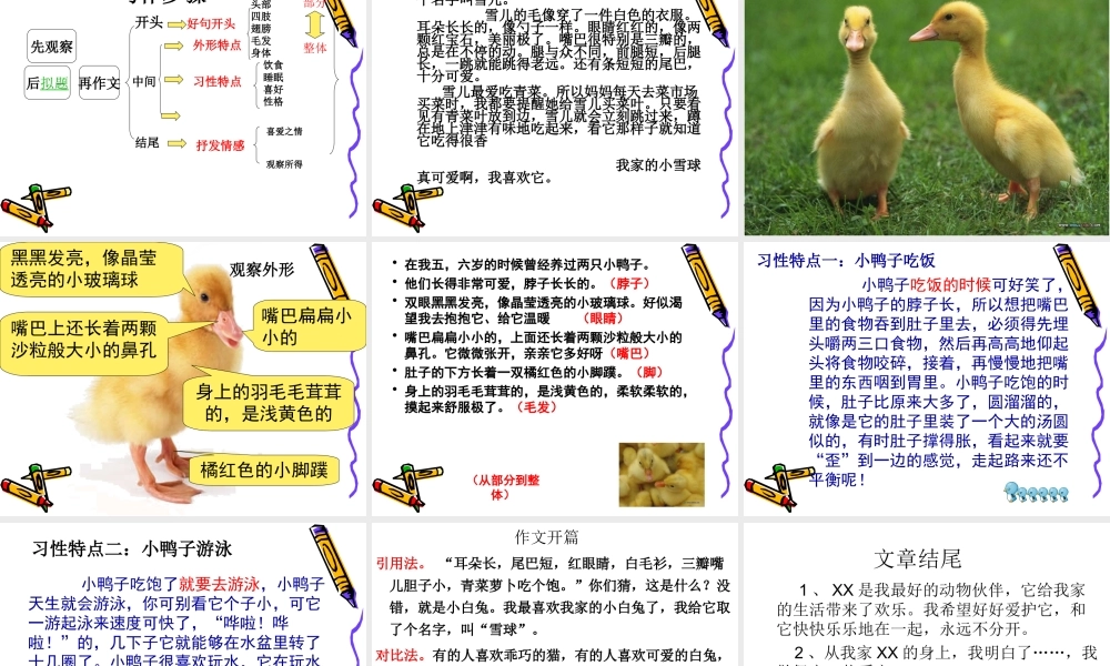 四年级语文上册第四单元作文 (2)（猪猪喜羊羊）.ppt