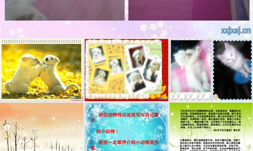 四年级作文_我喜欢的动物（猪猪喜羊羊）.ppt