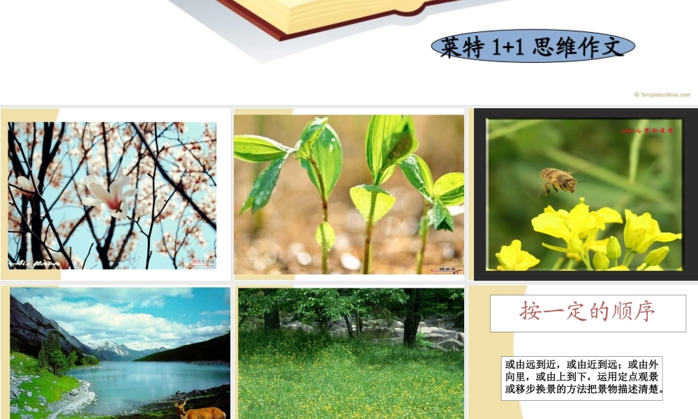 四年级作文第四讲（猪猪喜羊羊）.ppt