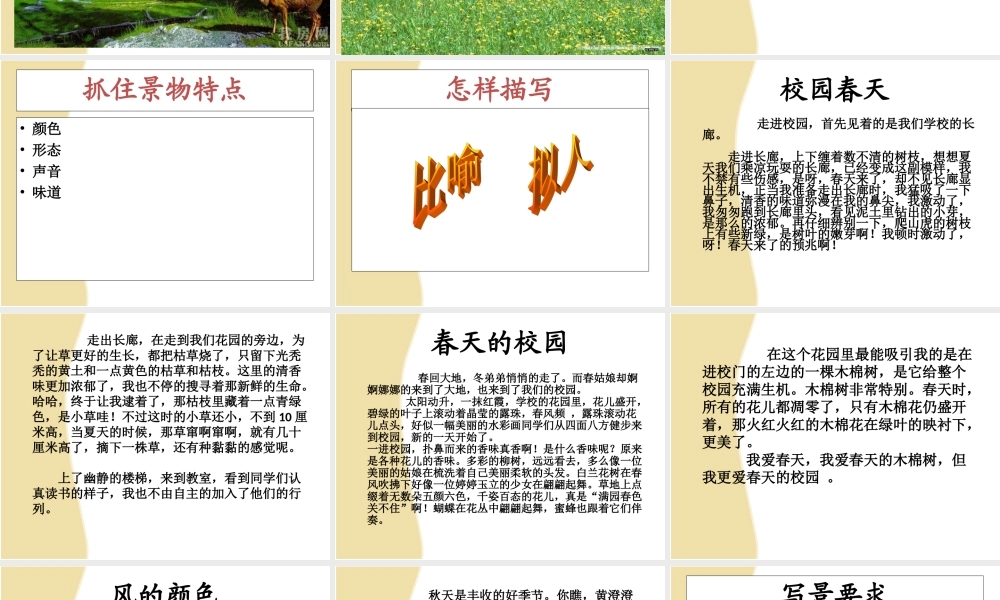 四年级作文第四讲（猪猪喜羊羊）.ppt