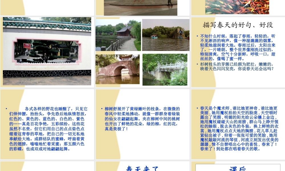 四年级作文第五讲 (1)（猪猪喜羊羊）.ppt