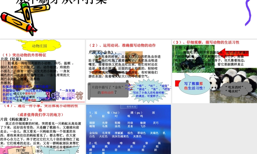 四年级作文—动物庄园（猪猪喜羊羊）.ppt