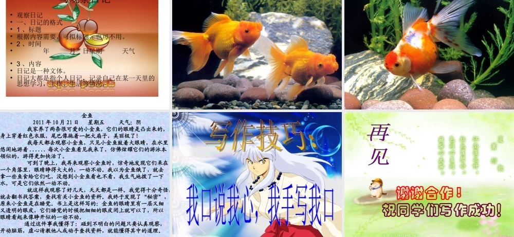 四年级作文讲课1（猪猪喜羊羊）.ppt