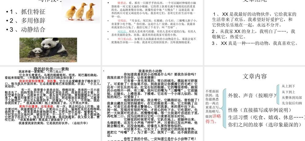 四年级作文小动物（猪猪喜羊羊）.ppt