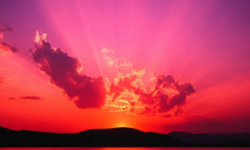 四年级作文指导 (2)（猪猪喜羊羊）.ppt