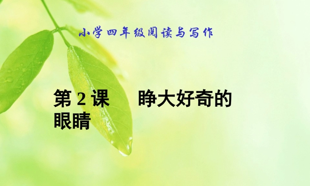 四年级作文小发现（猪猪喜羊羊）.ppt