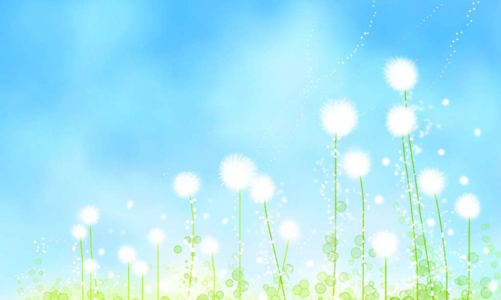 五年级上册作文复习 (1)（猪猪喜羊羊）.ppt