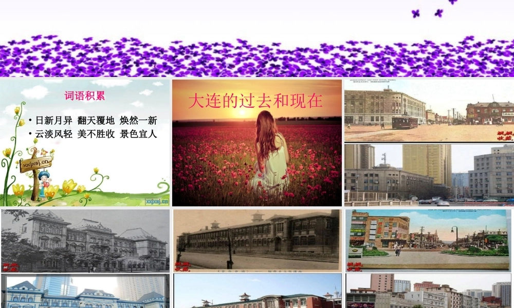 五年级作文 (4)（猪猪喜羊羊）.ppt