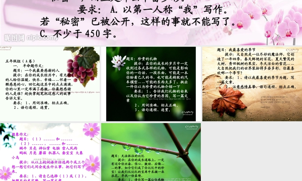 五年级作文竞赛（猪猪喜羊羊）.ppt