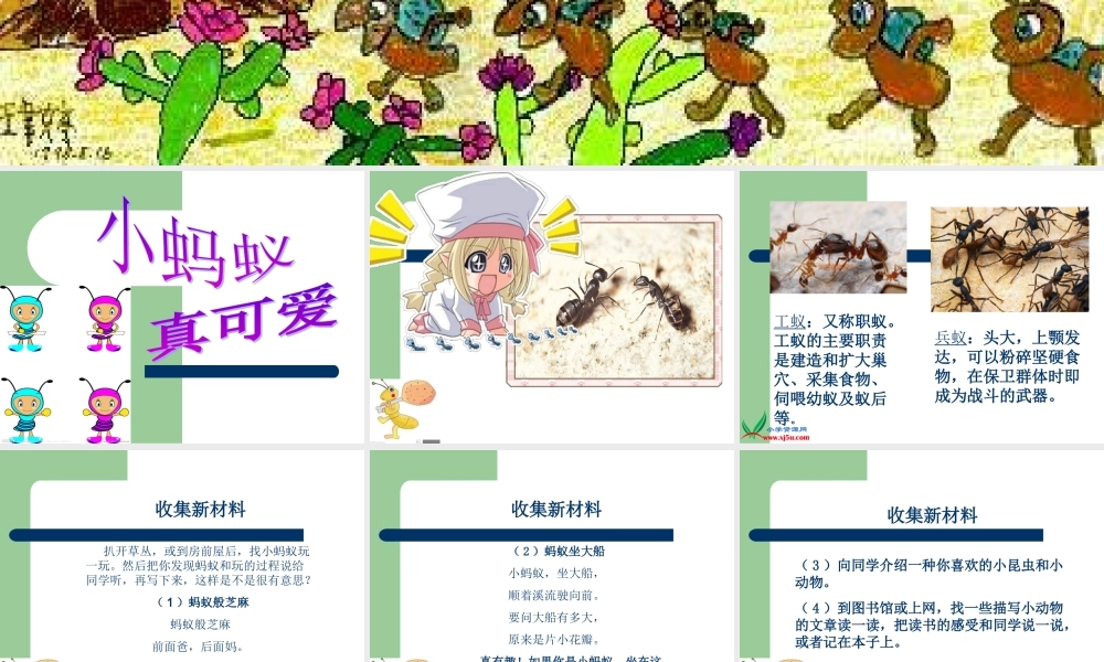 小蚂蚁真可爱(一年级作文)（猪猪喜羊羊）.ppt