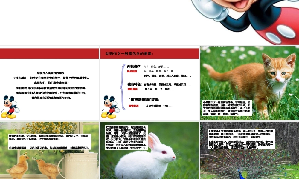 小学二年级语文作文课件-描写动物（猪猪喜羊羊）.ppt