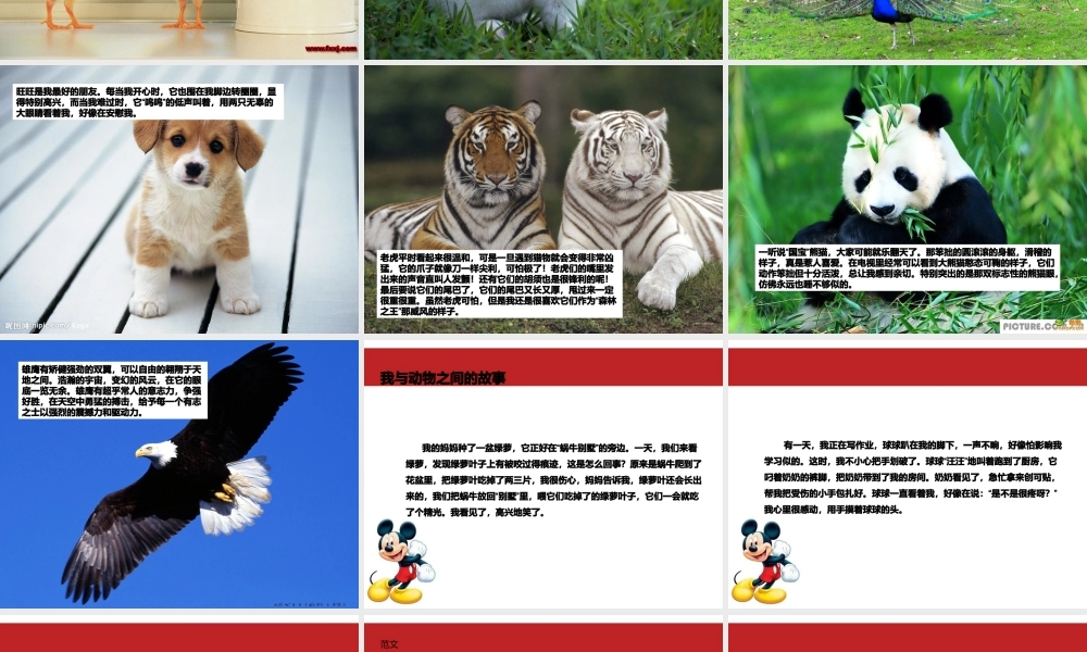 小学二年级语文作文课件-描写动物（猪猪喜羊羊）.ppt