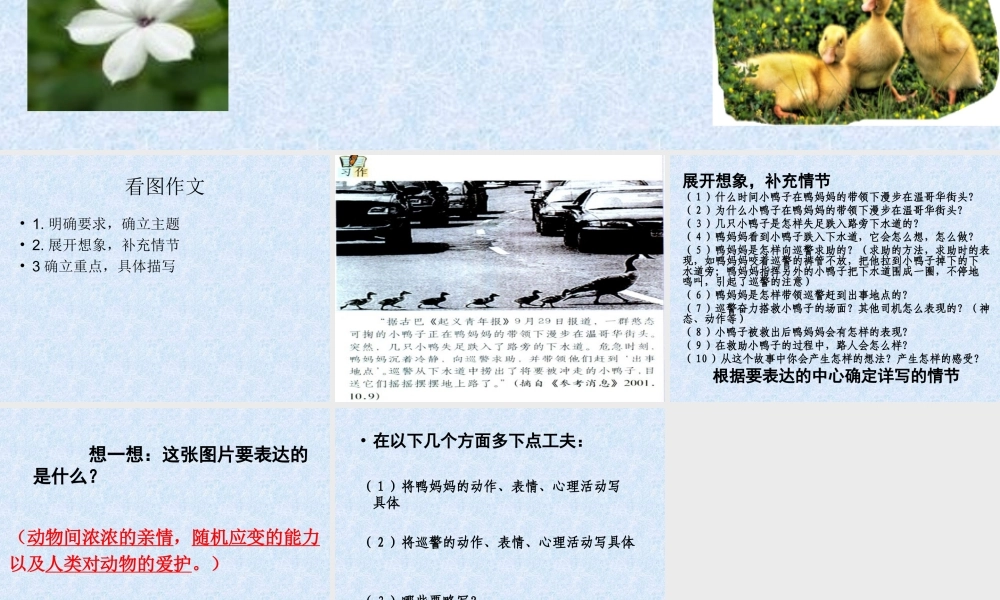 小学六年级上语文第七单元作文指导（猪猪喜羊羊）.ppt